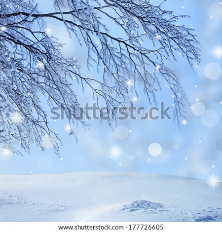 Snow covered branch on sparkle background