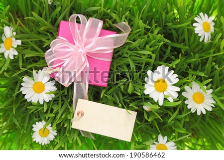 Gift box with blank tag on grassy background