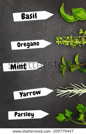 Various types of herbs with name tags on black background
