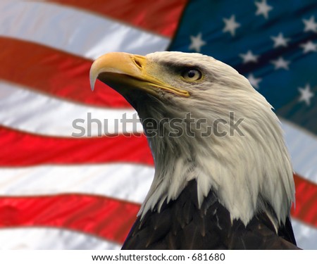 american flag eagle wallpaper. +american+flag+wallpaper