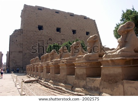 Row of ram headed sphinxes in front of the Karnak Temple