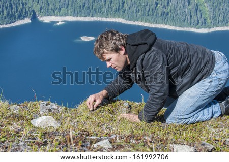 Caucasian man crawls on top of mountain as he forages for wild berries in the ground cover vegetation on Bear Mountain on Baranof Island, Alaska with Blue Lake in background