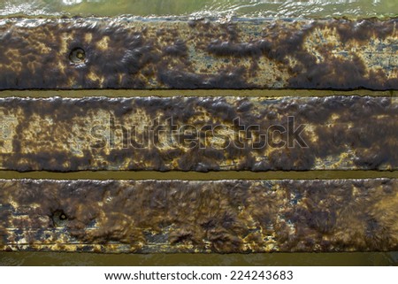 Brown filamentous brown algae growing on wet wooden boards creating slippery step into tropical sea water
