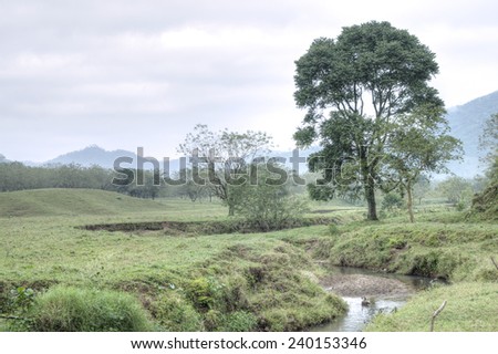 HDR image of creek running through fertile pasture land populated with trees in Chiapas, Mexico