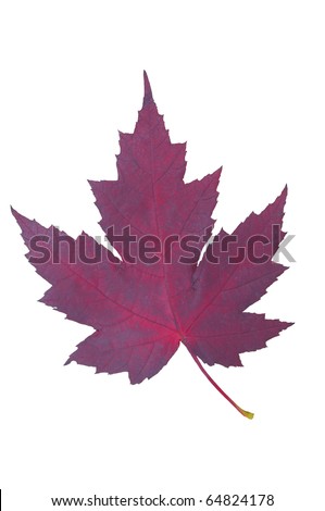 Canada+maple+leaf+red