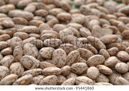 Closeup of pile of raw pinto beans