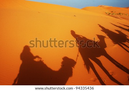 Camal caravan on a Nomad trip through sand desert