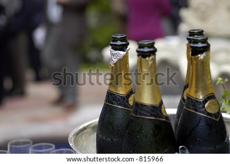 opened champagne bottles