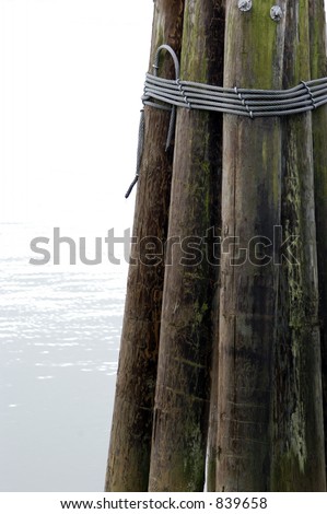 Green sturdy logs are bound together with strong steel cables at dockside