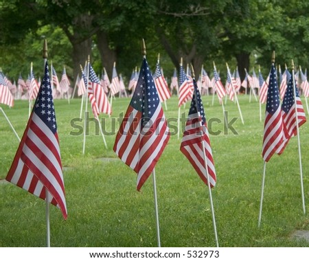 Field of American flags