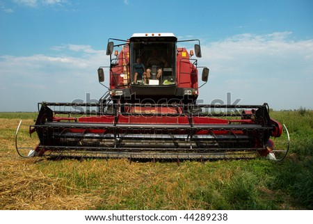 Red grain harvester combine in a field. Combine made in the Republic of Belarus.