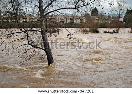 River approaching flood stage