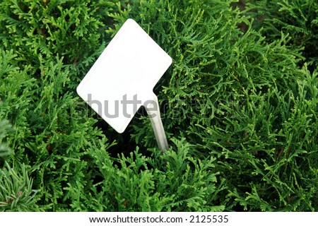 Blank label stick in green plants for sale. Put in your price or info