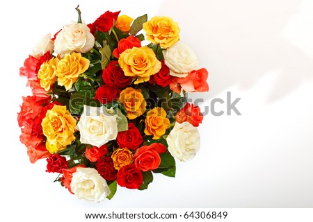Rose bouquet on the white background