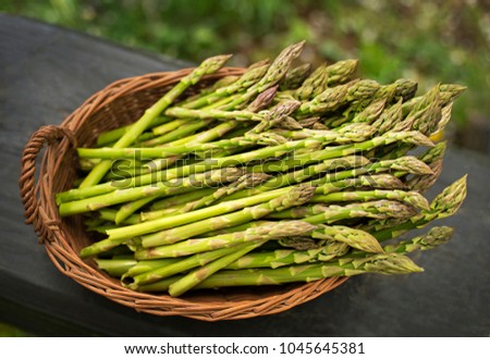 Asparagus. Fresh Asparagus. Green Asparagus in basket.