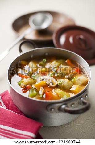 Healthy hot vegetable stew close up shoot