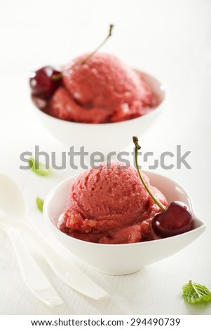 Fresh fruit ice cream sorbet in white bowl.