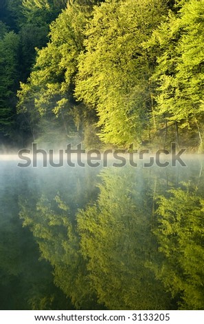 lonely lake with mist in early morning