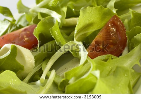 fresh salad with tomato and mozzarella cheese