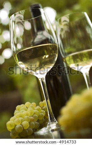 White wine in glass outside close up shoot