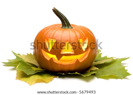 halloween pumpkin on leaves close up on white