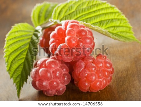 fresh raspberry fruit on the table close up shoot