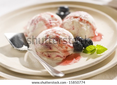 fresh blue berry ice cream on a plate close up