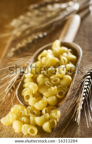 raw italian macaroni in wooden spoon close up