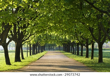 Пътеката Stock-photo-green-alley-with-trees-in-the-park-29073742