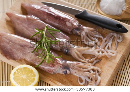Fresh squid on wooden board close up shoot