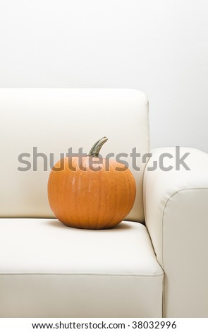 Orange pumpkin on sofa close up shoot