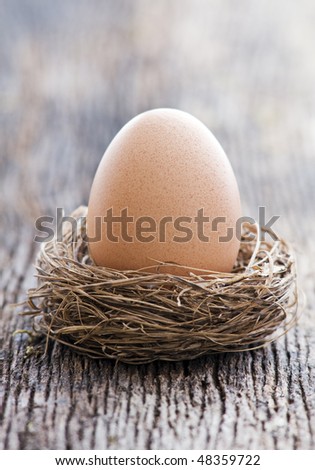 Natural egg in nest close up shoot