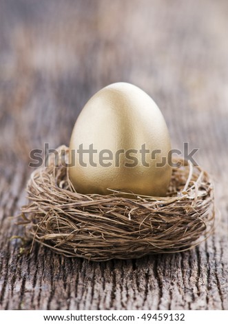 Golden egg in nest close up shoot