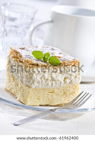 Delicious Slovenian cream cake close up shoot
