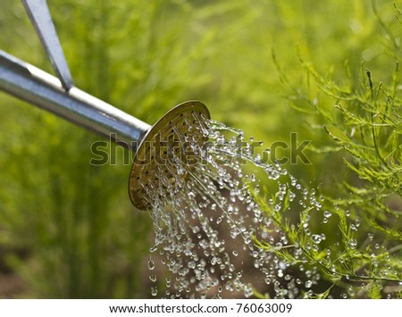 Watering can on the garden close up shoot