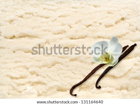 Vanilla ice cream in plate with vanilla beans and flower