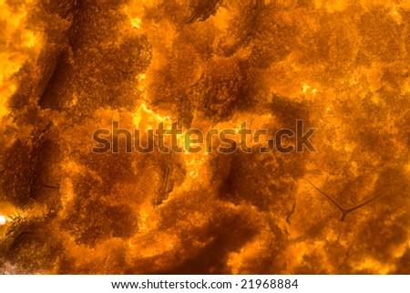 Orange peel closeup photographed with macro lens