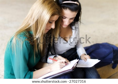 Two students learning together