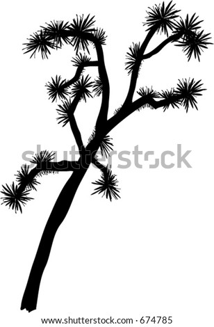 Joshua Tree Silhouette Vector Image - 674785 : Shutterstock