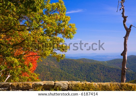 Autumn Mountain Scene with Stone Wall and Dead Tree