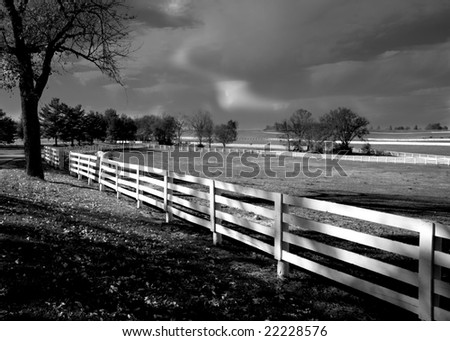 Dramatic Black and White Horse Farm Scene