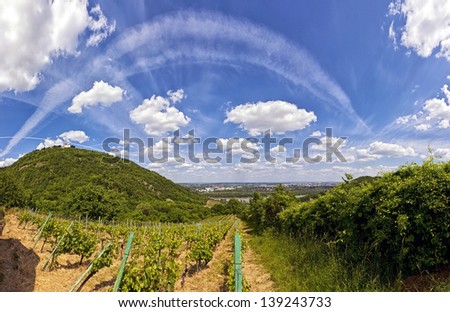 View of the Danube of Vienna and the Saint Leopold\'s Church on Leopoldsberg. The Vineyards in front are from (viewpoint) Kahlenbergerdorf, a part of DÃ?Â¶bling, the 19th district of Vienna.
