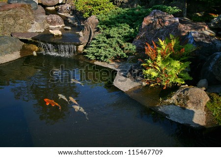 Japanese garden with a small waterfall and a pond with koi.