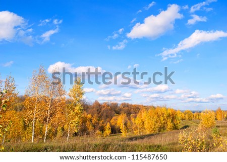 Russian nature - autumn landscape with groves and sky.