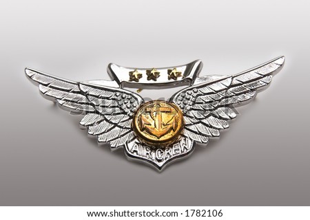 straight on of navy and marine corps combat aircrew wings on gradient