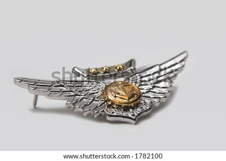 Combat Aircrew Wings