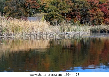 river flowing peacefully past a boat house and the changing leaves of fall