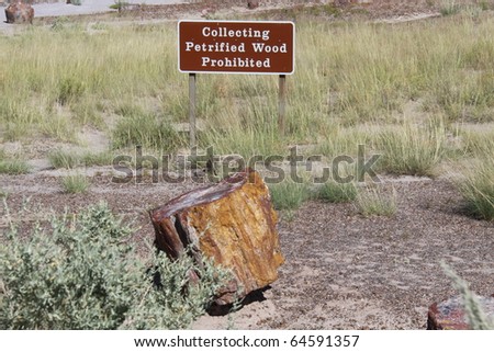 sign stating that petrified wood is not allowed to be collected in the petrified forest