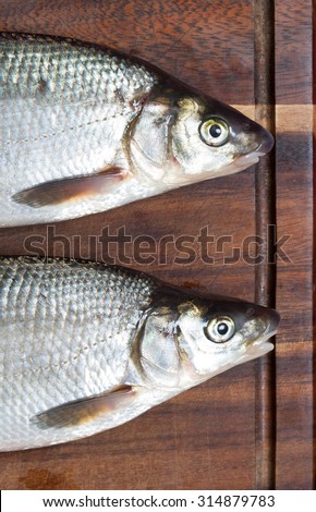Two wild fishes on a wooden cutting board. Vimba vimba also called vimba bream or Abramis vimba. Caught in river Kuldiga (Riga, Latvia, Europe)