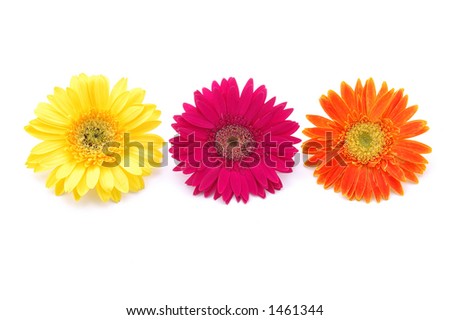 flower clip art outline. Flower clip art - vector clip